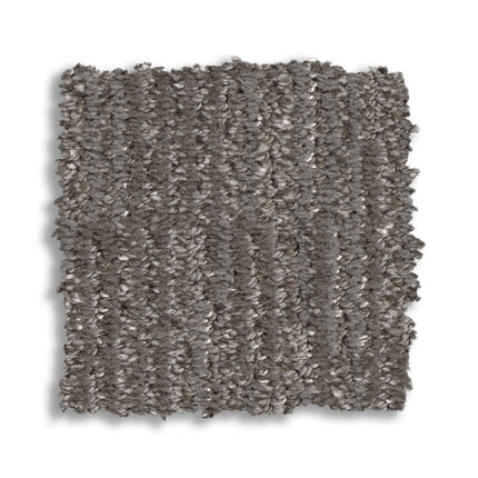 Sneak Peek - ZZ260_00556-Carpet
