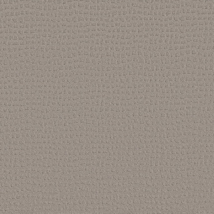 Solstice - ZZ264_00511-Carpet
