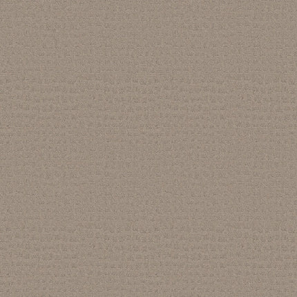 Solstice - ZZ264_00752-Carpet