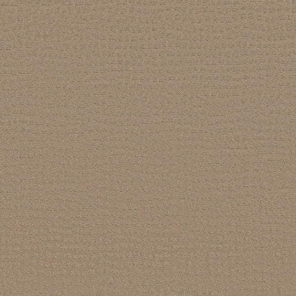 Solstice - ZZ264_00117-Carpet