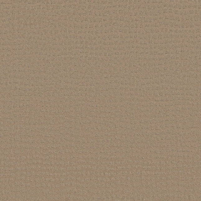 Solstice - ZZ264_00117-Carpet