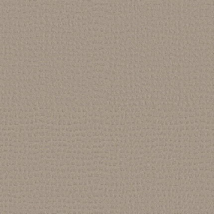 Solstice - ZZ264_00552-Carpet