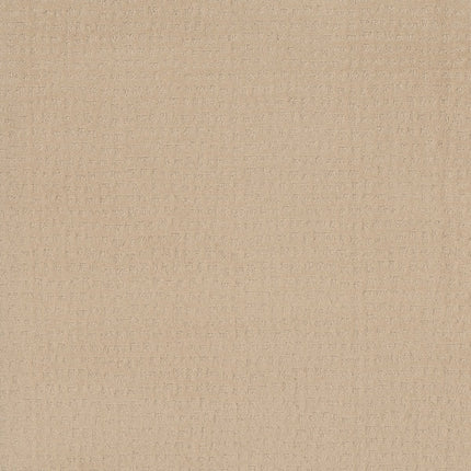 Solstice - ZZ264_00212-Carpet