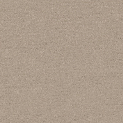 Solstice - ZZ264_00152-Carpet