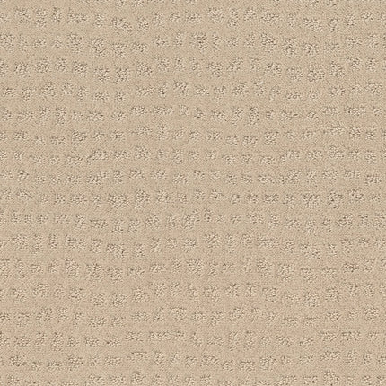 Solstice - ZZ264_00120-Carpet