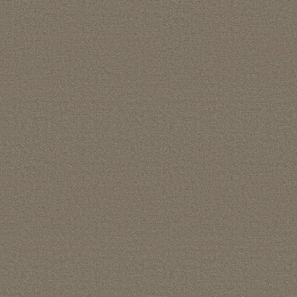 Solstice - ZZ264_00553-Carpet
