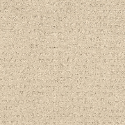 Solstice - ZZ264_00121-Carpet