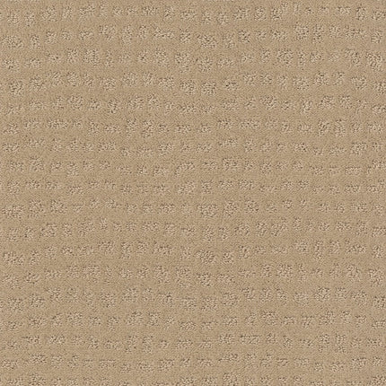 Solstice - ZZ264_00214-Carpet