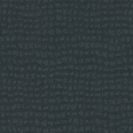 Solstice - ZZ264_00458-Carpet