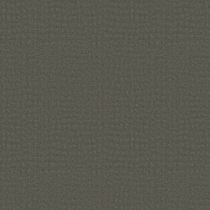 Solstice - ZZ264_00558-Carpet
