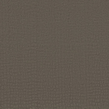 Solstice - ZZ264_00573-Carpet