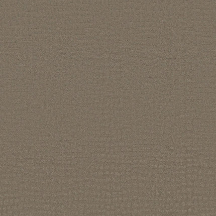 Solstice - ZZ264_00575-Carpet