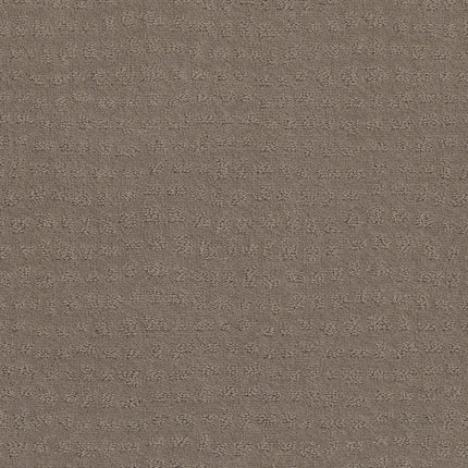 Solstice - ZZ264_00754-Carpet
