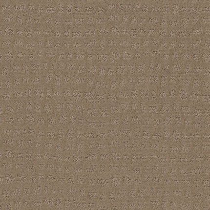 Solstice - ZZ264_00174-Carpet