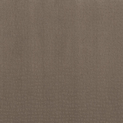 Solstice - ZZ264_00756-Carpet