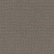 Still Gray