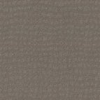 Still Gray
