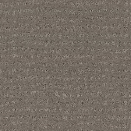 Solstice - ZZ264_00515-Carpet
