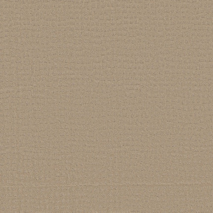 Solstice - ZZ264_00114-Carpet