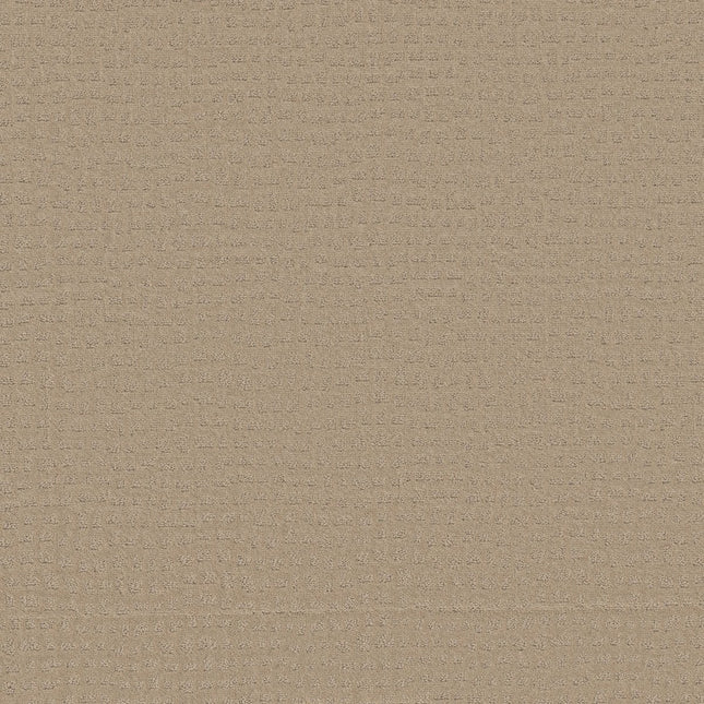 Solstice - ZZ264_00114-Carpet