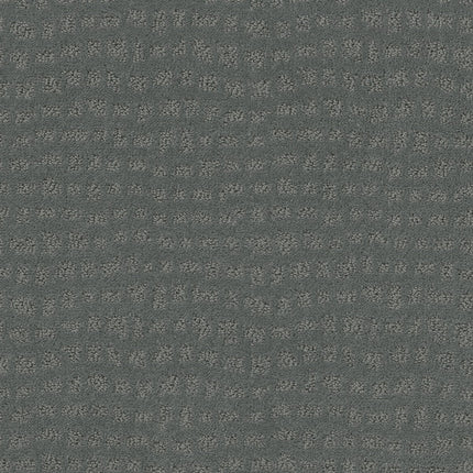Solstice - ZZ264_00446-Carpet