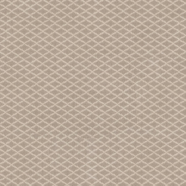 Springer's Point - ZZ049_00112-Carpet