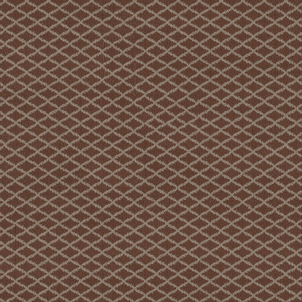 Springer's Point - ZZ049_00877-Carpet