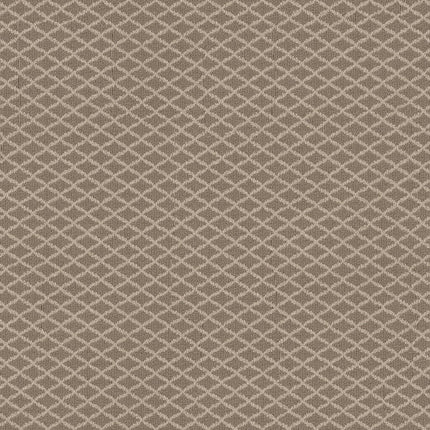 Springer's Point - ZZ049_00713-Carpet