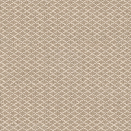Springer's Point - ZZ049_00212-Carpet