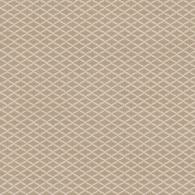 Springer's Point - ZZ049_00212-Carpet