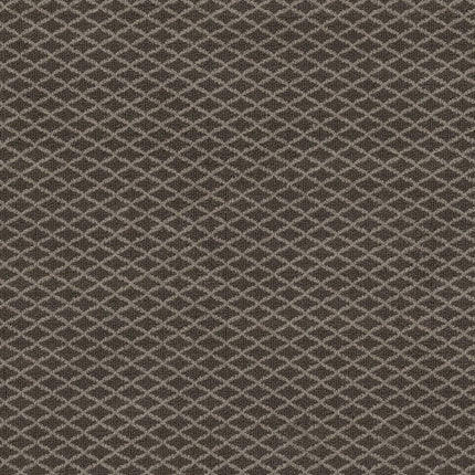 Springer's Point - ZZ049_00757-Carpet