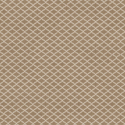 Springer's Point - ZZ049_00213-Carpet