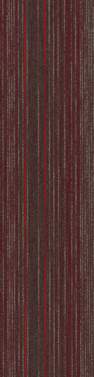 STELLAR - 54902 - 00800 - Carpet Tile