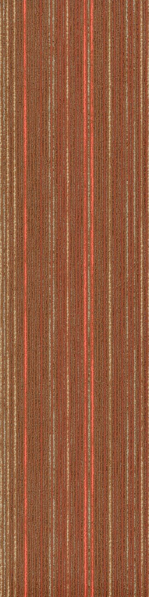 STELLAR - 54902 - 00600 - Carpet Tile