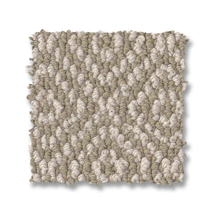 Stroll - ZZ050_00313-Carpet