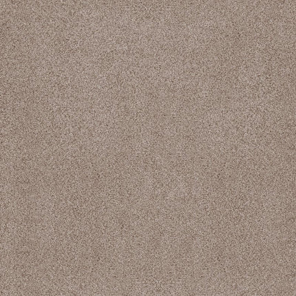 Sumptuous I - ZZ323-00750-Carpet