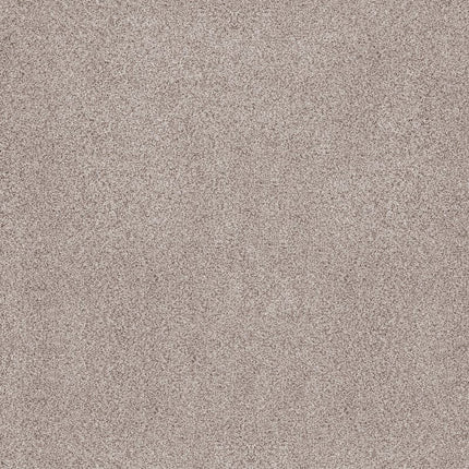 Sumptuous I - ZZ323-00151-Carpet