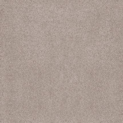 Sumptuous I - ZZ323-00152-Carpet