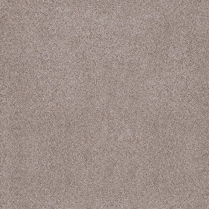 Sumptuous I - ZZ323-00153-Carpet