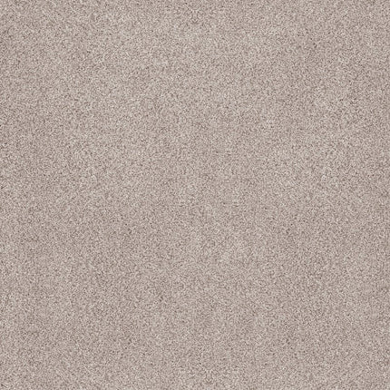 Sumptuous Ii - ZZ324-00140-Carpet