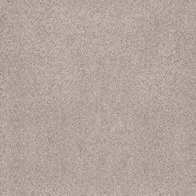 Sumptuous Ii - ZZ324-00140-Carpet