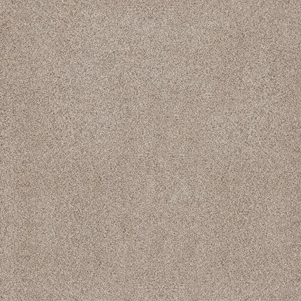 Sumptuous Ii - ZZ324-00144-Carpet