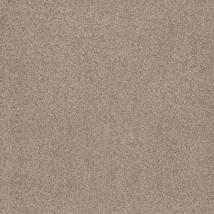 Sumptuous Ii - ZZ324-00240-Carpet