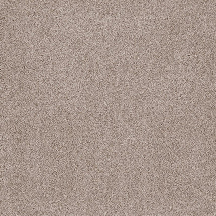 Sumptuous Ii - ZZ324-00143-Carpet
