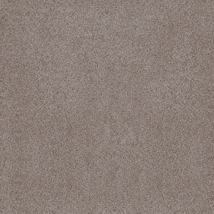 Sumptuous Ii - ZZ324-00751-Carpet