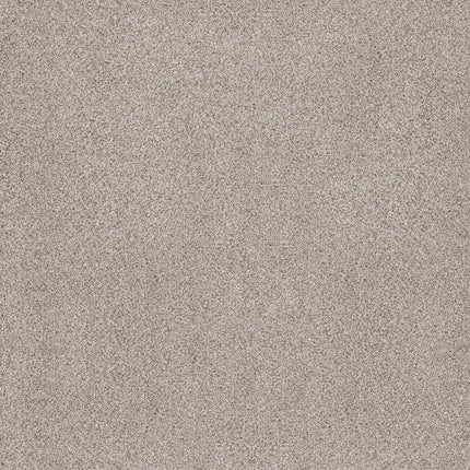 Sumptuous Ii - ZZ324-00141-Carpet