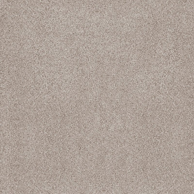 Sumptuous Ii - ZZ324-00141-Carpet