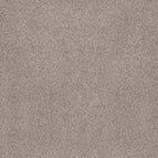 Patio Stone