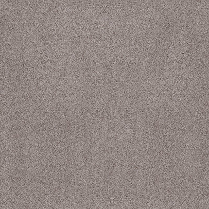 Sumptuous Ii - ZZ324-00550-Carpet