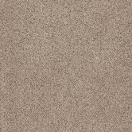 Sumptuous Ii - ZZ324-00241-Carpet